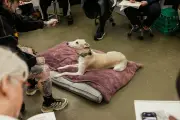 At Greyhound Life Drawing, Artists Try to Tackle Complicated Shapes