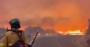 At Least 4 British Nationals Among 11 Dead in Los Gallardos Wildfire