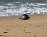 Australian Space Agency Identifies Likely Origin of 'Space Balls' on Queensland Beaches
