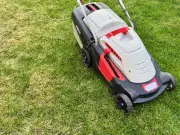 Avoid This Lawnmower Mistake to Prevent Brown Grass in Summer Heatwave