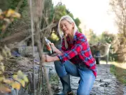 Barrister Explains Neighbour's Tree Overhanging Garden Legal Rights