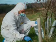 BBC iPlayer Adds New Episodes of Gripping Crime Series Expert Witness