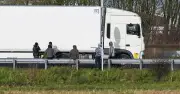 Bearded Migrant Ruled a Child by UK Court After Lorry Entry