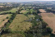 Beavers Create Lush Wetlands That Boost Drought Resilience