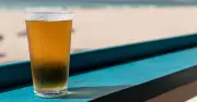 Beer intolerance symptoms: When to stop drinking this summer