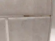 Best Mould Remover for Grout Tested: HG Wins Over Mould Magic and Astonish