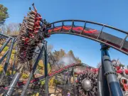 Best Summer Holiday Theme Park Deals: Alton Towers, Blackpool & More