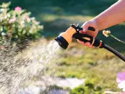 Best Time to Water Garden in Hot Weather to Avoid Irreversible Damage