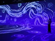 Beyond Van Gogh Immersive Show Opens Early at Newcastle Arena Due to Demand