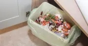 Bicarbonate of Soda: Kitchen Staple That Banishes Food Waste Bin Odours