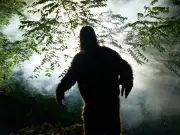 Bigfoot Sightings Surge in Ohio: Fears of Reproduction