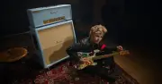 Billie Joe Armstrong Unveils Marshall Signature Amp After Super Bowl Mystery