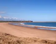 Billion Nurdles Spill into River Tyne After Ship Collision
