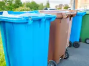 Bin Expert Shares How to Stop Flies and Maggots: Best Defence Tips
