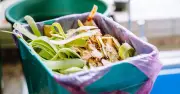 Binfluencer shares tips to stop maggots in food waste bins