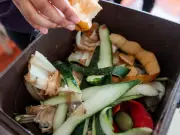 Binman Shares Tricks to Stop Maggots in Food Waste Bins