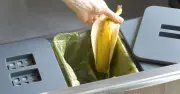 Binman Urges Brits to Stop Putting Food Waste Caddies in Sun