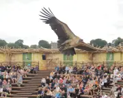 Birds of Prey and Viking Raids: Kynren Show Transforms Bishop Auckland