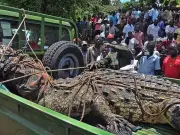 'Bloodthirsty' Monster Crocodile Killed 80, 'Refused to Die' in Uganda