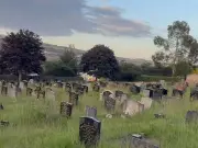 Bolton Council Blames Weather for Overgrown Cemeteries Amid Public Outcry