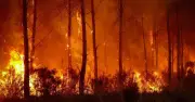 Bordeaux wildfires threaten city of 850,000 as flames intensify