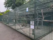 Botanic Gardens Aviary Closure: 'Do Not Donate' Message Issued