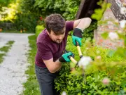 Boundary expert explains rights over neighbour's overhanging bushes