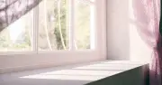 Bowl of Cold Water on Windowsills Cools Homes During Heatwave, Experts Say