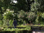 Bramhall Park: Greater Manchester's Historic Green Space with Tudor Manor