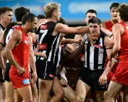 Brayden Maynard: AFL's Most Contested Player Shines in Collingwood Win