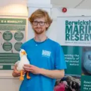 Britain’s first ‘gull ranger’ starts work to improve human seagull relations