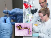 British Scientists Launch First Ebola Vaccine Trial Using Oxford-AstraZeneca Tech