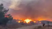 Britons Among Dead in Spain Wildfire as Death Toll Rises to 12