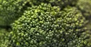 Broccoli Perfection: Ditch Boiling for Steam-Roasting Method