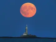 Buck Moon on July 29: How it will affect your star sign