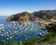 California man rescued after 30 days adrift at sea with broken mast