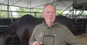 Cannon Hall Farm star Robert Nicholson in tears as Ruby the horse euthanised