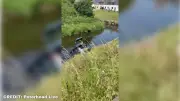 Car Plunges into River at Scots Beauty Spot, Occupants Escape