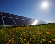 Carbon capture is a fig leaf for fossil fuel expansion, experts warn