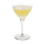 Cardamom and Lemon Gimlet: Spicy Gin Cocktail Recipe