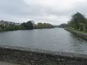 Catapult Attacks Kill Wildlife at Pembroke's Mill Pond in Wales