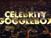 Celebrity Gogglebox Fans Devastated as Channel 4 Show Ends Series