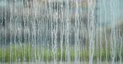 Cheap kitchen item cleans months of grime off shower glass