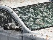 Cheap Way to Remove Hard Bird Poo from Car Windows Using Two Ingredients