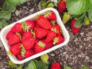 Chef Reveals Secret Ingredient for Sweeter Strawberries Without Sugar