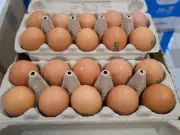 Chefs Reveal the Best Way to Store Eggs: Fridge vs Cupboard Debate Settled