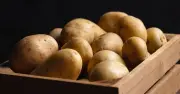Chefs Unanimously Say Cupboard Best for Potato Storage, Not Fridge