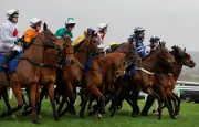 Cheltenham Festival to Crack Down on Rising False Starts with New Measures