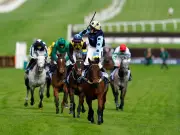 Cheltenham Festival veteran Edwardstone retired after career high