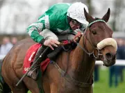 Cheltenham Festival-winning trainer Pat Kelly has licence suspended